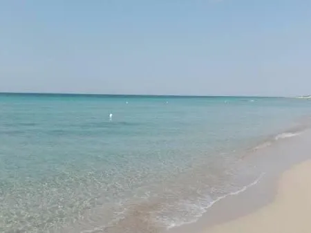 Grazia Ii
